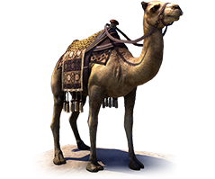 HAMMERFELL CAMEL